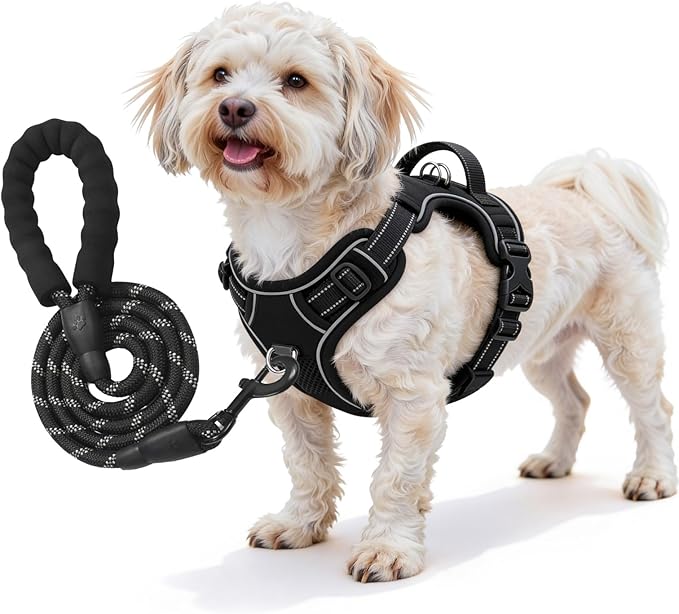 No Pull Dog Harness and Leash Set for Small Dogs – Adjustable Reflective Breathable Soft Padded Easy Control Dog Harness for Training & Walking, Black (Small)