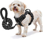 No Pull Dog Harness and Leash Set for Small Dogs – Adjustable Reflective Breathable Soft Padded Easy Control Dog Harness for Training & Walking, Black (Small)