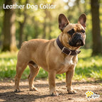 ADITYNA Leather Dog Collar for Small Dogs - Classic, Soft, Strong, Heavy Duty, Handmade Top-Grain Leather - for Walking, Training, and Hiking