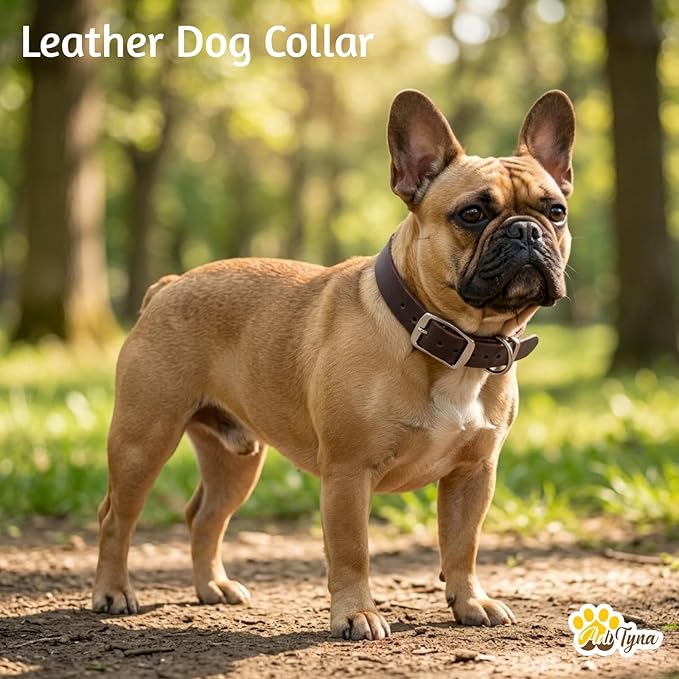 ADITYNA Leather Dog Collar for Small Dogs - Classic, Soft, Strong, Heavy Duty, Handmade Top-Grain Leather - for Walking, Training, and Hiking