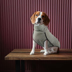 ROZKITCH Dog Winter Coat Soft Pullover Pajamas, Pet Windproof Warm Cold Weather Jacket Vest Cozy Jumpsuit Apparel Outfit Clothes for Walking Hiking Travel Sleep Stripe 4XL