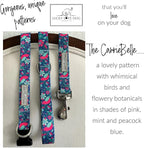 Lucky Love Dog - Adjustable Collar and Leash Set with Easy Click Buckle for Small Dogs, Durable, & Comfortable Collar for Male & Female Dogs, Puppies & Adult - CarrieBelle Combo, XS