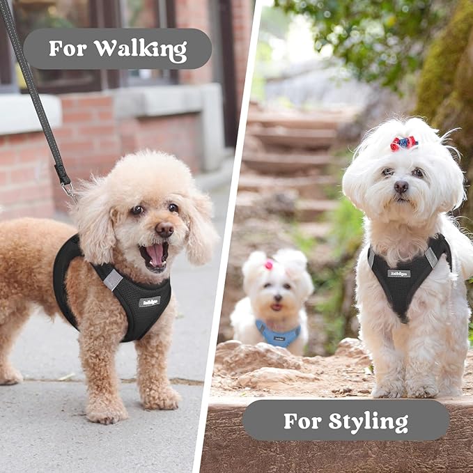 rabbitgoo Small Dog Harness, Step-in Soft Mesh Puppy Vest with Safety Buckle, Breathable Reflective Pet Harness for Small Medium Dogs, Black L