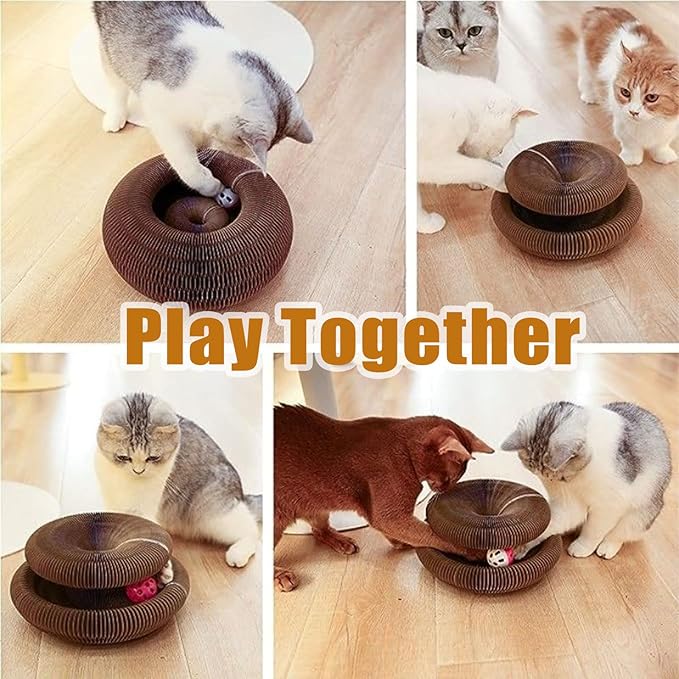 Twisty Paws Cardboard Cat Toy – 2025 Upgraded Foldable Cardboard Cat Scratcher, Durable Honeycomb Design 2-in-1 Interactive Toy for Cats’ Play, Rest & Exercise (1)