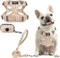 PUPTECK Dog Harness and Leash Set Medium Sized, Step in No Pull Adjustable Puppy Cat Harness Reflective Pet Vest