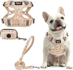 PUPTECK Dog Harness and Leash Set Medium Sized, Step in No Pull Adjustable Puppy Cat Harness Reflective Pet Vest
