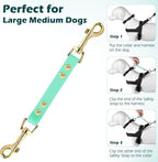 PetBonus Dog Collar Safety Clip, Waterproof Backup Safety Strap for Dog Harness to Prong Collar, Odor Proof Double Ended Clasp Leash Connector for Training Walking (Mint Green)