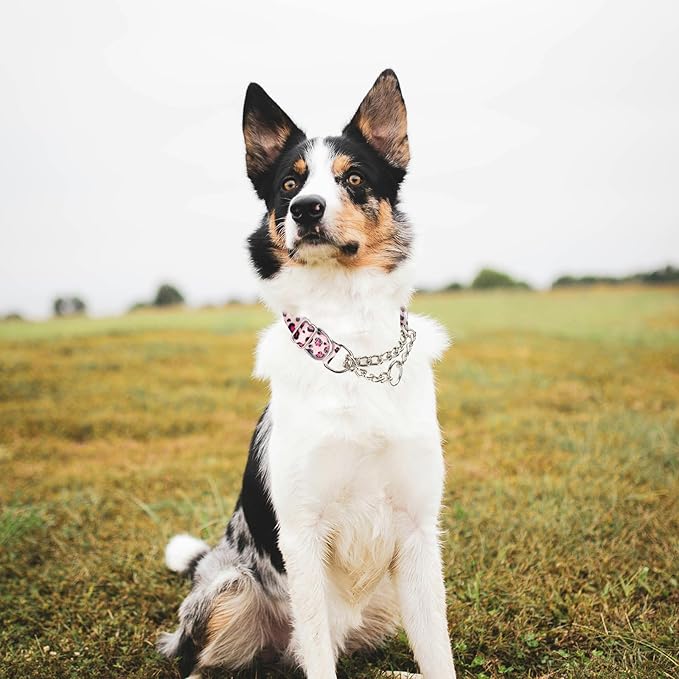 Pink Leopard Martingale Dog Collar - No-Pull Training Collar with Chain, Soft & Durable Design for Medium, Large & XL Dogs (Large Pink Leopard)