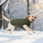 ASENKU Windproof Dog Winter Coat Waterproof Fleece Jacket Cold Weather Pet Apparel for Small Medium Large Dogs (ArmyGreen, L)