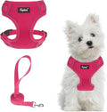 PUPTECK Small Dog Harness and Leash Set, No Pull Adjustable Puppy Cat Harness, Reflective Soft Mesh Pet Vest Small Sized, Fuchsia, S