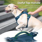 No Pull Dog Harness, Puppy Vest with Front Clip for Small Medium Large Sized Dog(Prussian Blue,L)