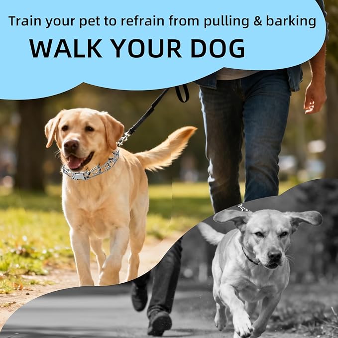 Prong Training Collar for Dogs, Adjustable Dog Pinch Collar with Quick Release Buckle, No Pull Collar for Small Medium Large Dogs, Extra Link and Caps