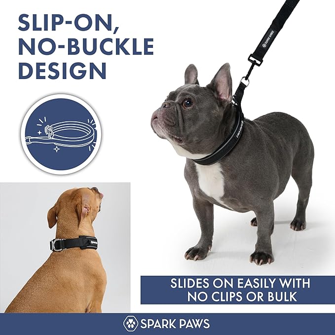 Spark Paws Martingale Dog Collar – Cushioned Slip-On Training Collar, Heavy Duty, Safety-Tested No-Buckle Collar for Medium & Large Dogs - Black - B