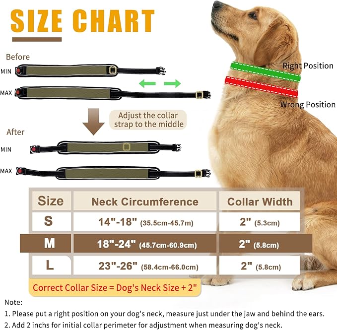 Martingale Collar for Dogs - Reflective No Pull, Adjustable Anti Pull for Training Walking, Heavy Duty Nylon Slip Collar, 2 Inch Wide, Army Green