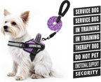 Service Dog Vest Harness and Leash Set, Animire in Training Dog Harness with 10 Dog Patches, Reflective Dog Leash with Soft Padded Handle for Small, Medium, Large, and Extra-Large Dogs