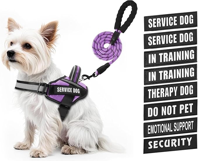 Service Dog Vest Harness and Leash Set, Animire in Training Dog Harness with 10 Dog Patches, Reflective Dog Leash with Soft Padded Handle for Small, Medium, Large, and Extra-Large Dogs