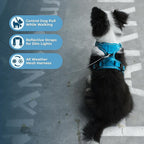 Voyager Dog Harness Dual Leash Attachment No-Pull Control Adjustable Soft but Strong Pet Harness for Medium and Large Dogs with 3M Reflective Technology, Leash Set Turquoise Nylon, S (Chest: 16-20")