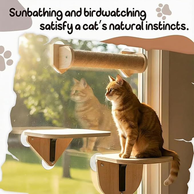 Novabright 3-in-1 20-inch Cat Window Perch Hammock with Climbing Step and Scratching Post, Raw Wooden Window Mounted Cat Bed, Supports 22lbs (Drilling-Free)