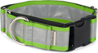 If It Barks - 1.5" Reflective Martingale Collar with Quick Snap Buckle for Dogs - Adjustable - Made in USA - Strong, Durable, and Comfy - Ideal for Training - Fits Most Breeds - Medium, Apple Green