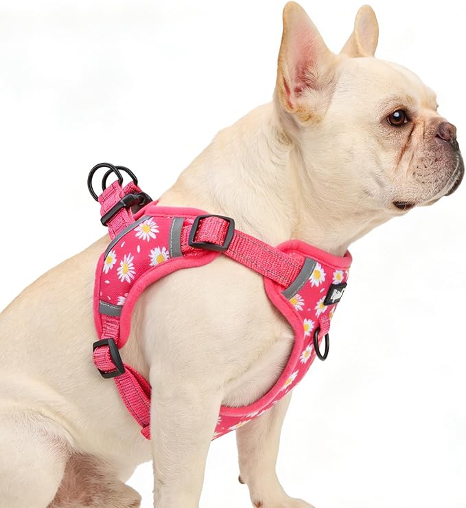 PUPTECK No Pull Dog Harness Small Sized Dog, Adjustable Reflective Escape Proof Easy Control, Comfortable Soft Padded Step in Pet Vest Harness, Fuschia, M