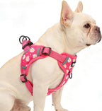 PUPTECK No Pull Dog Harness Small Sized Dog, Adjustable Reflective Escape Proof Easy Control, Comfortable Soft Padded Step in Pet Vest Harness, Fuschia, M