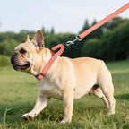 Martingale Collar for Dogs with Quick Release Buckle, Reflective Soft Padded & Escape Proof, Adjustable Nylon Dog Collars for Training & Daily Walking (Neon Pink,S)