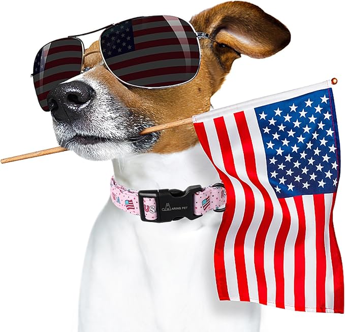ARING PET 4th of July Collars for Dogs, Fourth of July Pink Patriotic USA Flag Dog Collar for Puppy Small Medium Large Boy Girl Doggy-L