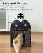 Cat Beds for Indoor Cats Extra Large Double Cat Cave Pet Cube, Handwoven Rattan Cat Houses with Double-Sided Soft Cushions, 18.5 x 20.5 x 19.1 Inches Foldable Hideaway in Living Room Brown