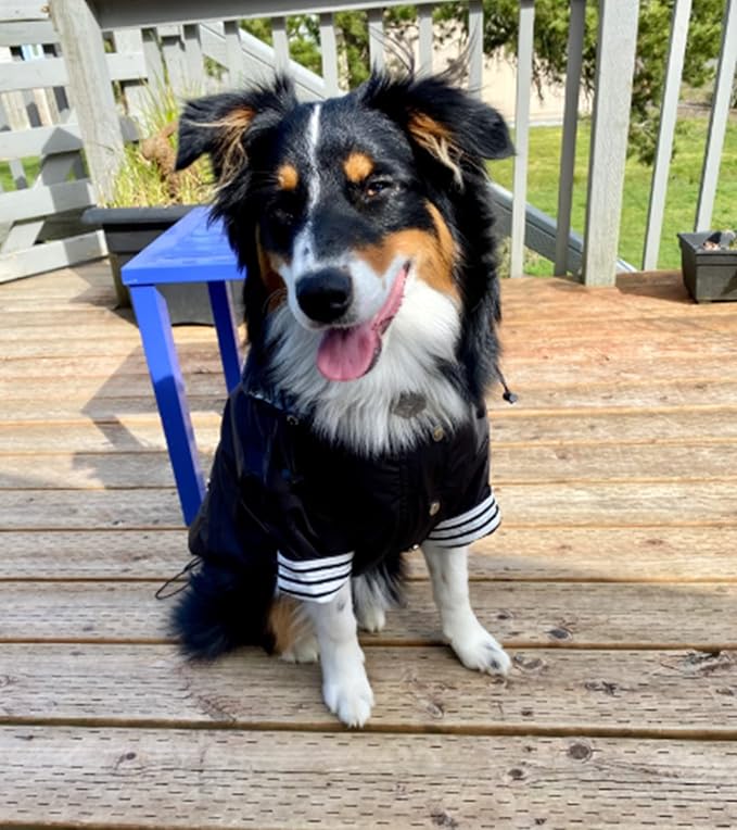 Morezi Dog Zip Up Raincoat with Reflective Buttons, Rain/Water Resistant, Adjustable Drawstring, Removable Hood, Raincoats with Legs 8lbs to 80lbs Available - Black - XS
