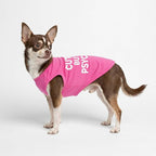 Fitwarm Cute But Psycho Dog Shirt, Summer Clothes for Small Dogs Girl, Funny Pet Outfit, Pink, White, XXL