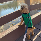 Gooby Fashion Vest Dog Jacket - Green, X-Large - Warm Zip Up Bomber Vest with Dual D Ring Leash - Winter Water Resistant Sweater - Dog Clothes for Small or Medium