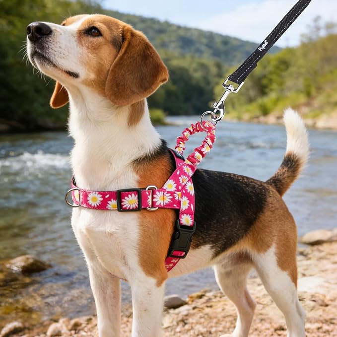 PUPTECK No Pull Dog Harness Small Sized Dog, Adjustable Reflective Pet Vest Harness with Bungee Handle, Escape Proof No Choke Harness for Small Dogs Walking Training, Fuschia Daisy S