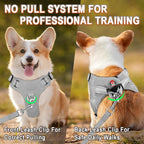 Dog Harness Step in Dog Vest Harness, Reflective Adjustable Puppy No Pull Harness Breathable Soft for Small and Medium Dogs Cats, Grey, XS