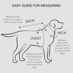 Cooper II Organic Cotton Velour Dog Hoodie Pet Coat for Small, Medium and Large Dogs, Pink, Small