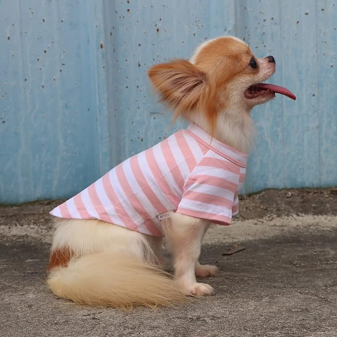 LOPHIPETS 100% Breathable Cotton Striped Dog Tee Shirt T-Shirt for Small Dogs Chihuahua Puppy Clothes -Pink and White Strips/M
