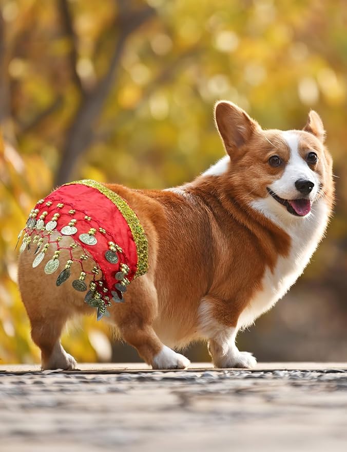 Dog Belly Dancer Costume - Puppy Outfit with Sequin Waist Chain & Hip-Shaking Skirt - Ideal for Corgi and Puppy Birthday Parties or Halloween Celebrations(Small,Red)