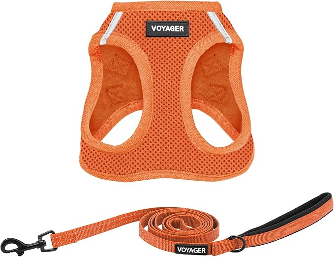 Best Pet Supplies Voyager Step-in Air All Weather Mesh Harness and Reflective Dog 5 ft Leash Combo with Neoprene Handle, for Small, Medium and Large Breed Puppies - Set (Orange), S