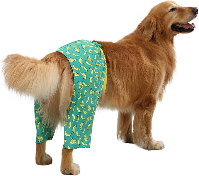 HDE Dog Swim Trunks Hawaiian Board Shorts Beach Pool Swimsuit for XS to XXL Dogs Bananas - XXL