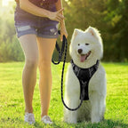 BARKBAY Dog Harness No Pull with ID Tag Pocket - Heavy Duty, Reflective, Easy Control for Small Dogs(Black,S)