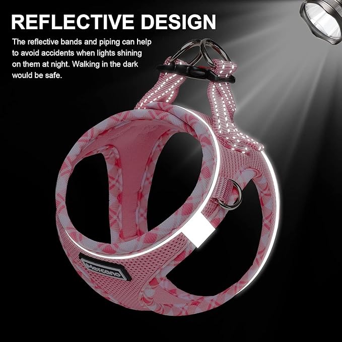 Mercano Soft Mesh Dog Harness and Leash Set, No-Chock Step-in Reflective Breathable Lightweight Easy Walk Vest Harnesses with Safety Buckle for Small Dogs, Cats (Pink, XXS)