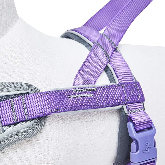 Blueberry Pet 8 Colors Soft & Comfy 3M Reflective Strips Padded Dog Harness Vest, Chest Girth 30" - 38.5", Purple, Large, Nylon Adjustable Training Harnesses for Dogs
