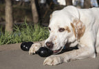 KONG - Extreme Goodie Bone - KONG's Most Durable Natural Rubber Dog Bone for Power Chewers - Black - For Medium Dogs