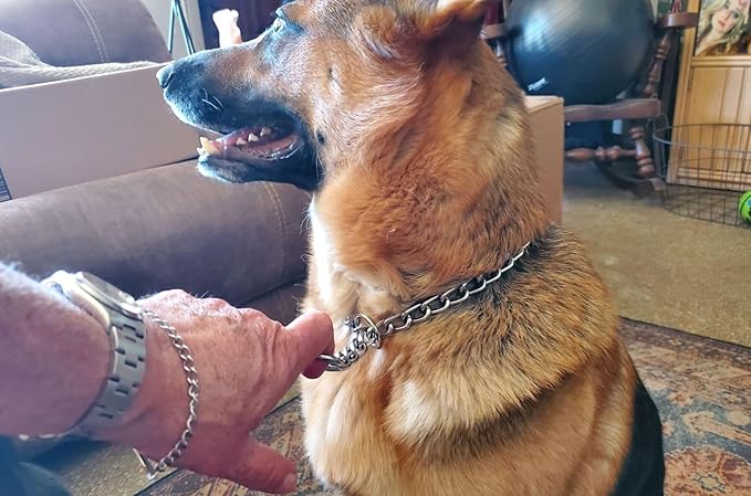 Chain Choke Collar for Dogs, Metal Slip Link Training Heavy Duty Dog Choker Collar Martingale Puppy Collars for XS Small Medium Large Big XL Breed Dogs (Silver, XL(Neck Max 22inch) D4.0mm)