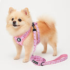 Dog Harness and Leash Set, Adjustable Dog Harness, Dog Leash, No Pull No Choke Puppy Harnesses for Walking Training for Small, Medium Pet (Little Love, L(Chest 19.6-28", Neck 15.7-21.1"))