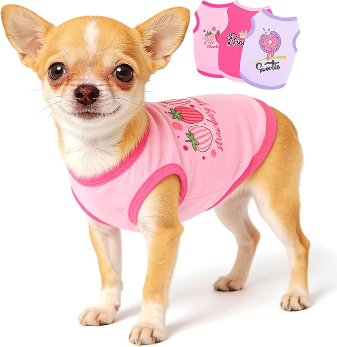 3 Pieces Dog Clothes for Small Dogs Girl Cute Small Dog Shirts Spring Summer Soft Puppy Outfits Clothing Pet T Shirts Yorkie Chihuahua Clothes XS (Pink,Rose,Purple, XSmall)