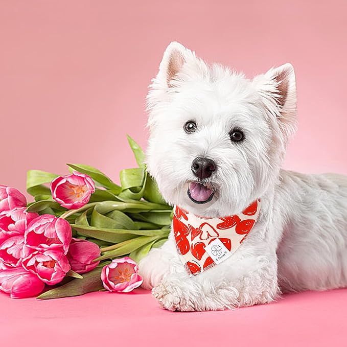 E-Clover Valentine Dog Bandana & Matching Scrunchie-Heart Cute Dog Bandanas Red Pet Scarf Bib for Small Dogs Puppy Girl Boy Owner Mothers Day Mom Gift