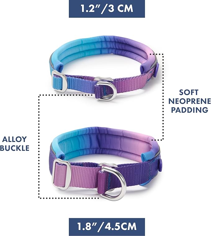 Spark Paws Martingale Dog Collar – Cushioned Slip-On Training Collar, Heavy Duty, Safety-Tested No-Buckle Collar for Medium & Large Dogs - 90s Retro - C