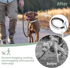 Mayerzon Martingale No Pull Collar for Medium Large Dogs, Patented Anti Pull Dog Collar with Buckle for Walking Training, with Neoprene Padding and Reflective Stitching, Adjustable(Grey, M)