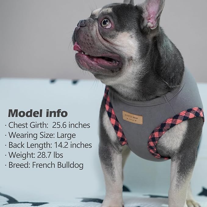 KYEESE Dog Shirt, Lightweight Velvet 2Pack, Soft Stretchy Fleece, Sleeveless, for Small Dogs, Medium, Grey+Pink