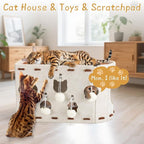 BABORUI Cat House for Indoor Cats, Large Foldable Cat Bed Cave with 5 Fluffy Ball Hanging, Felt Cat Hideaway with 8 Tunnels for Multi Pet Cats Kitten & Adult Play